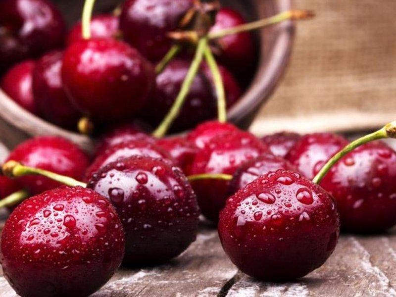 Вишня купить саженцы из питомника в Ржеве